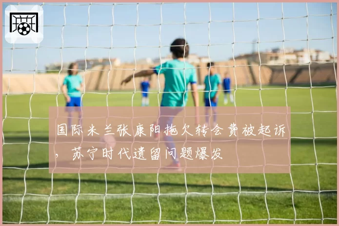 国际米兰张康阳拖欠转会费被起诉,苏宁时代遗留问题爆发