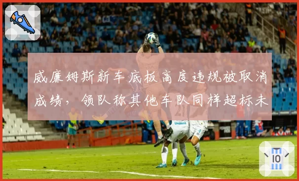威廉姆斯新车底板高度违规被取消成绩,领队称其他车队同样超标未检测