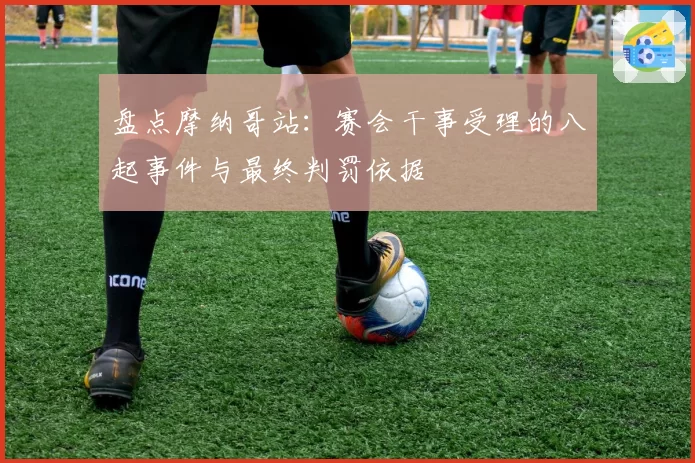 盘点摩纳哥站：赛会干事受理的八起事件与最终判罚依据